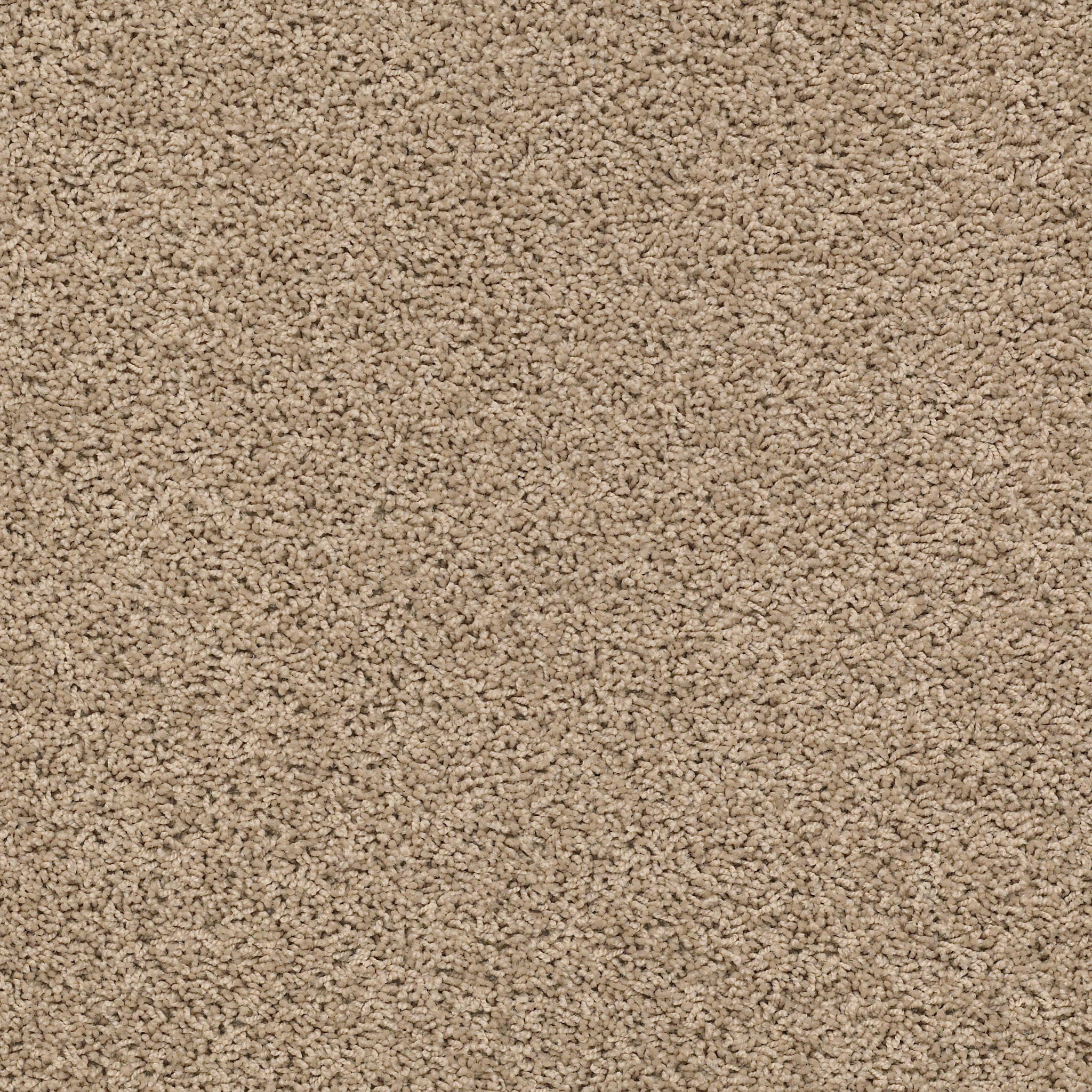 DEL MORRO MIDLAND MAIN