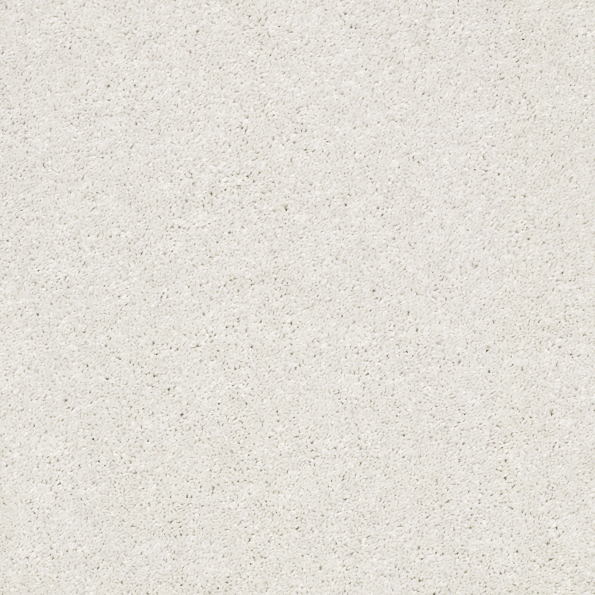 AFTER ALL I EGGSHELL MAIN