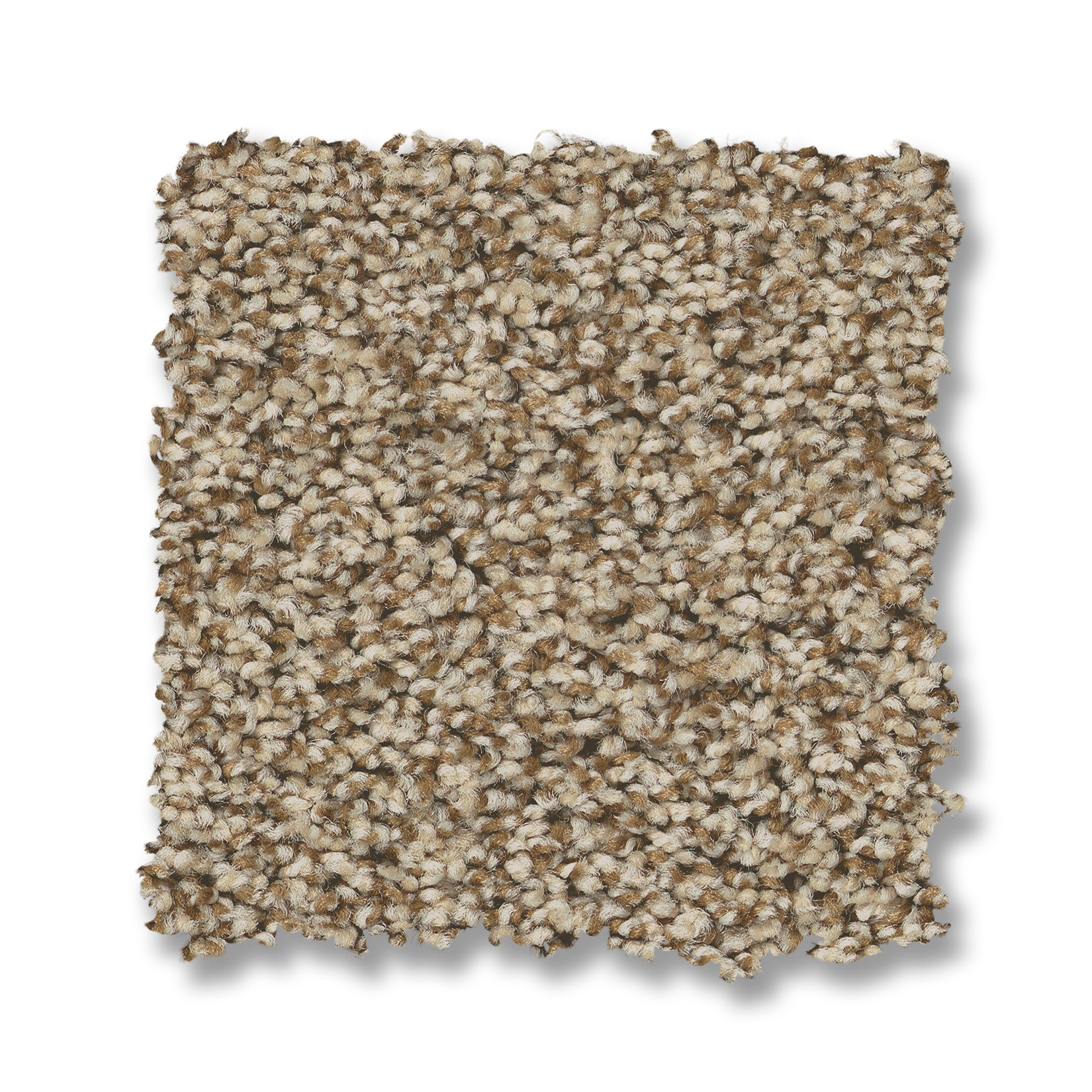 PRESCOTT VALLEY NUTSHELL SWATCH