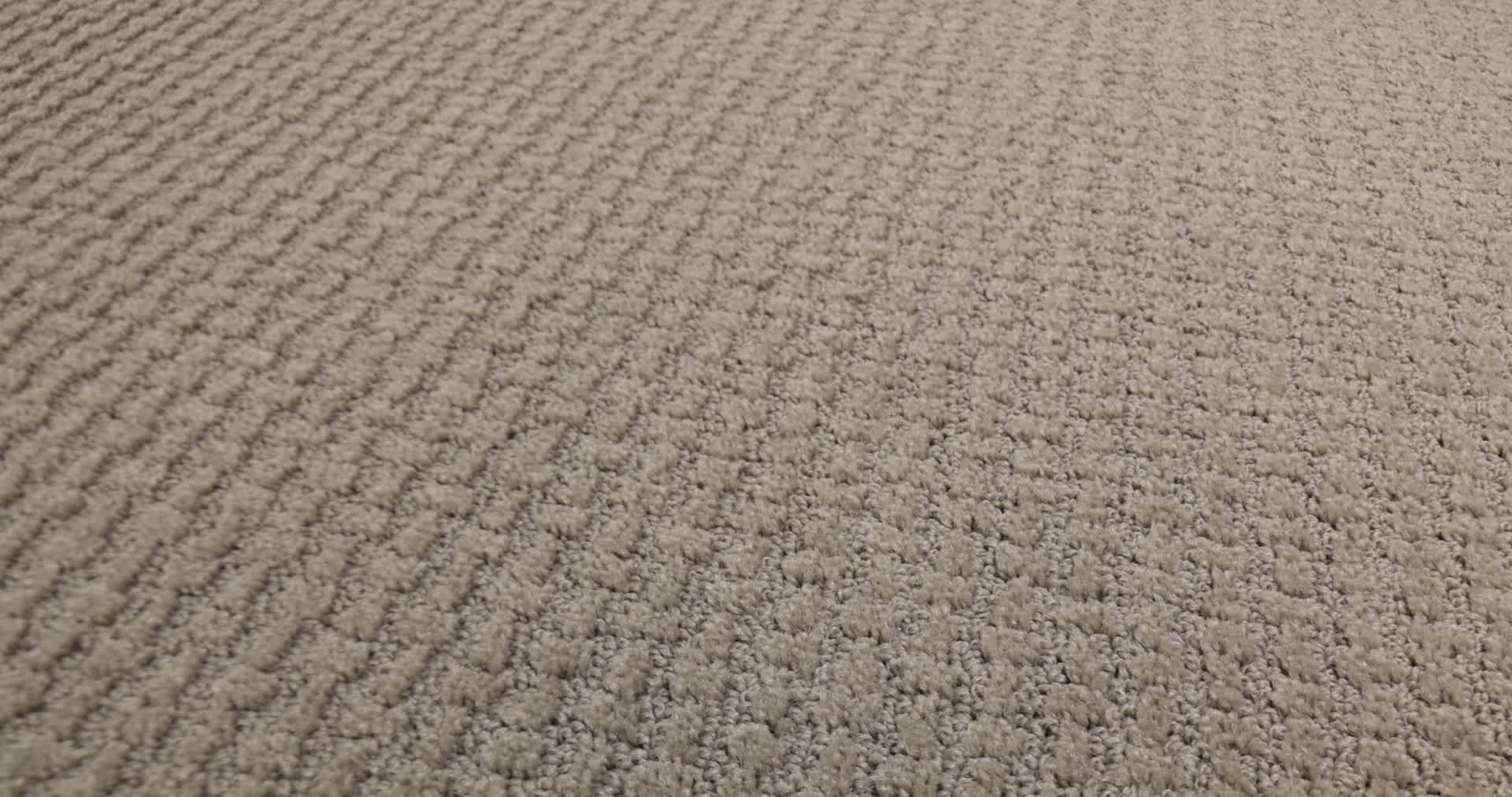 COMPLETE CONTROL ABBEY STONE 360PROD