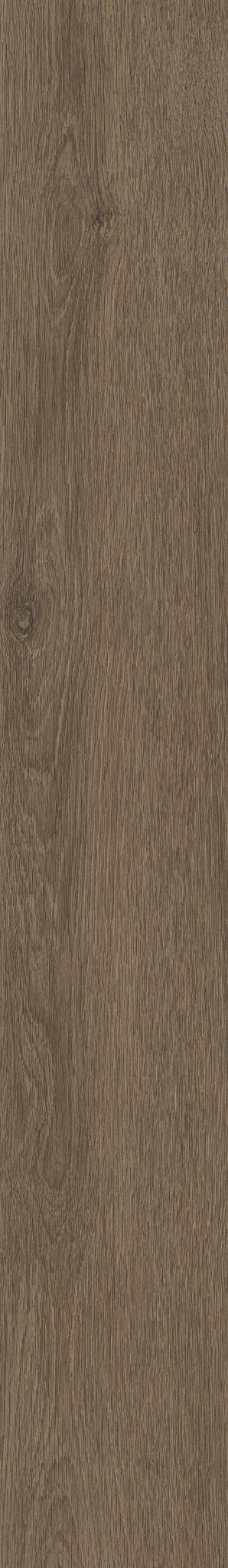 NATURAL BEGINNINGS SPC AUTUMN BROWN 1TO1