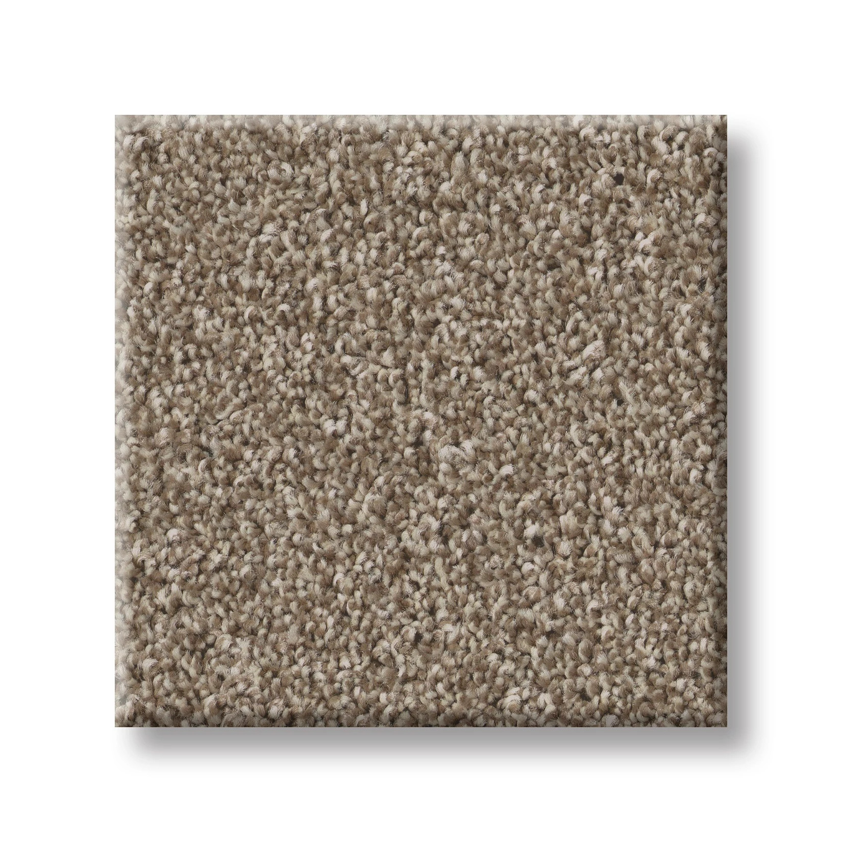 IMAGINABLE I CLAY SWATCH