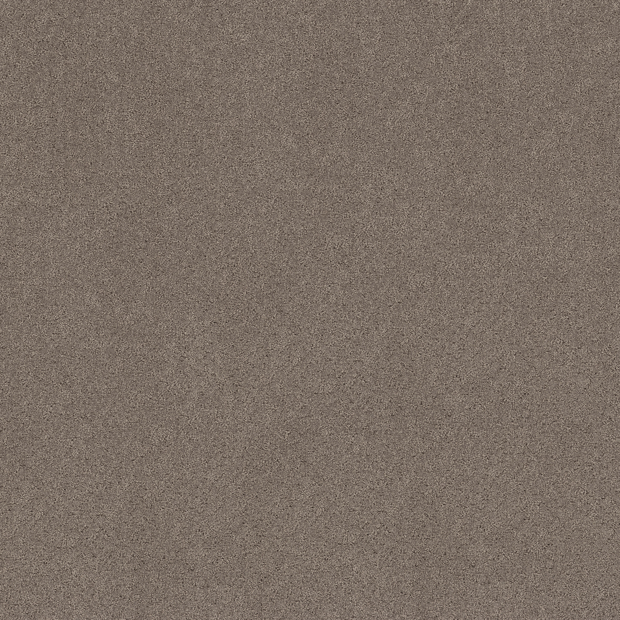 SECRET ADVENTURE HIDEAWAY MAIN