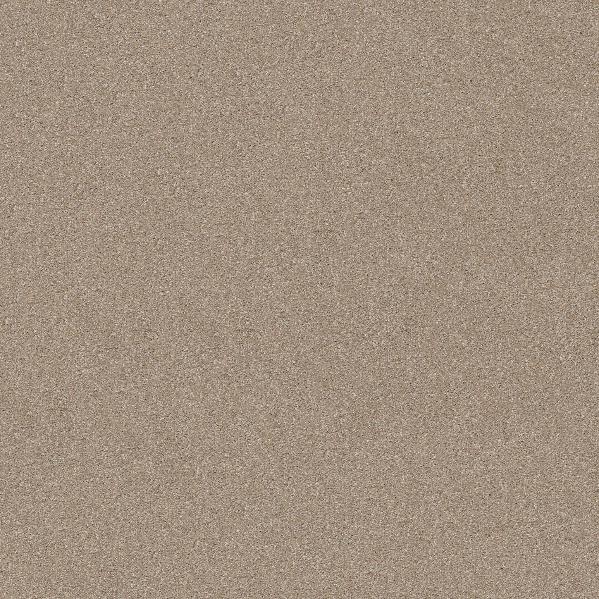 PERFECTLY TIMED DOESKIN MAIN