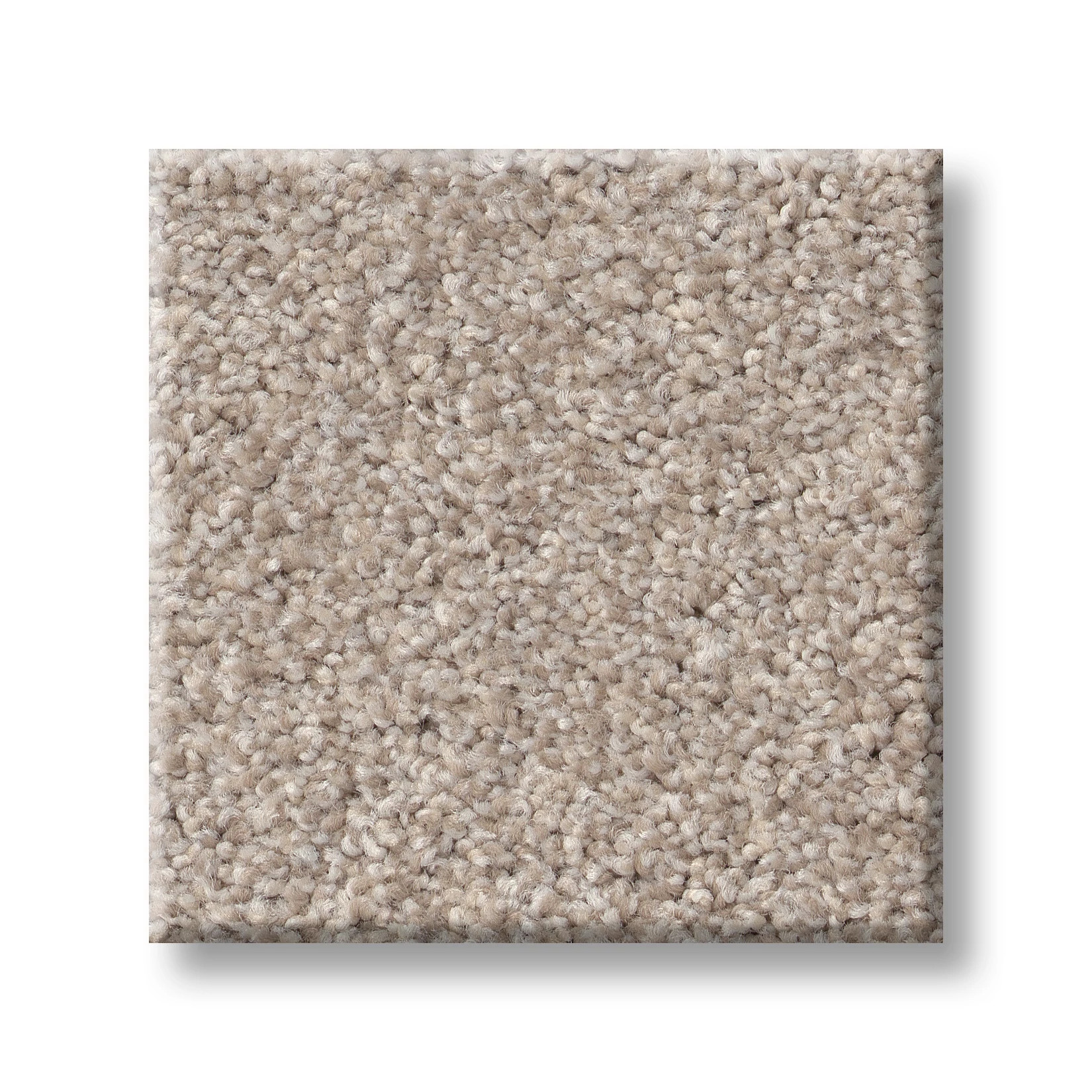 Live on Comfort WARM SAND SWATCH