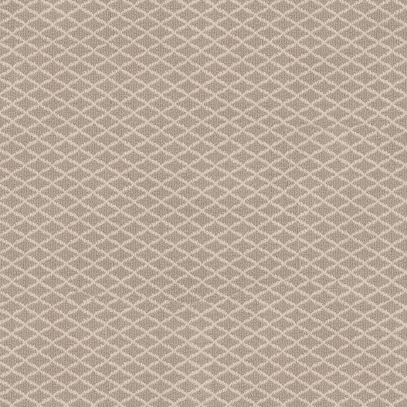 Springer's Point Broadloom Carpet in Mohair color, 12ft width, 100% nylon material