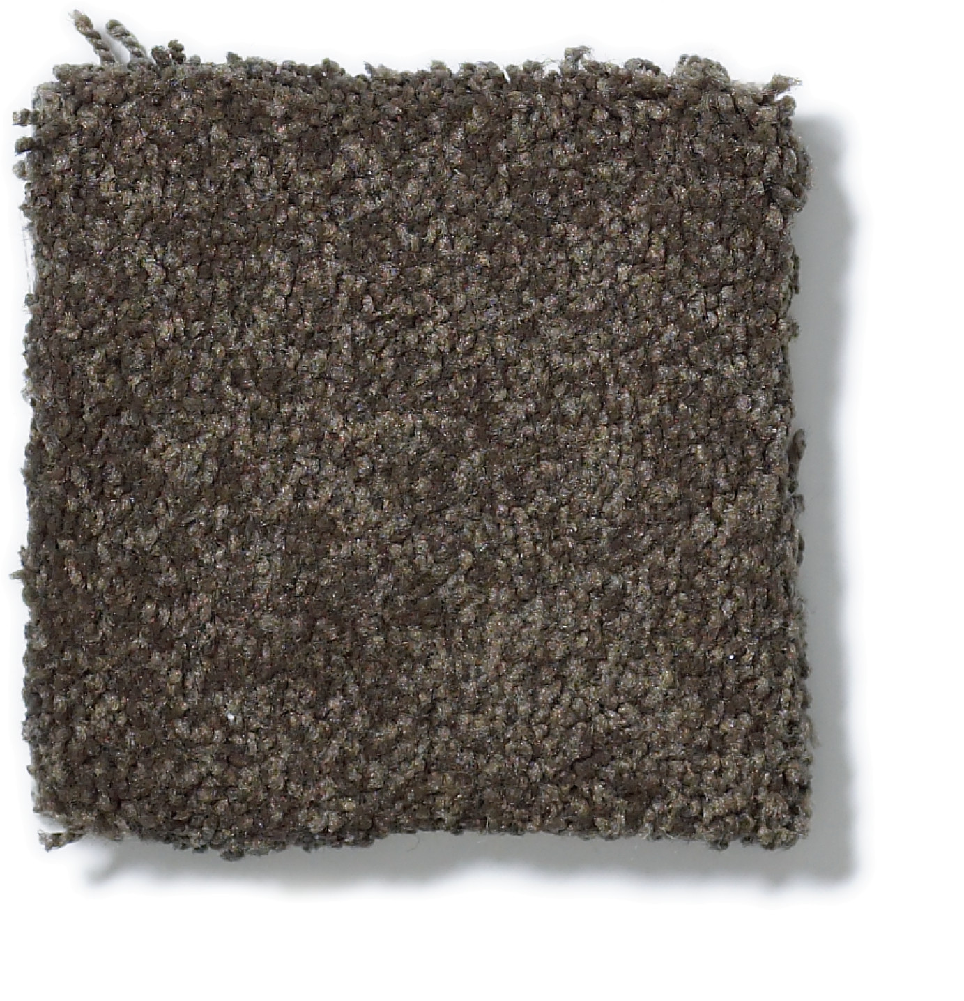 SHINGLE CREEK IV 12' ARROWHEAD SWATCH