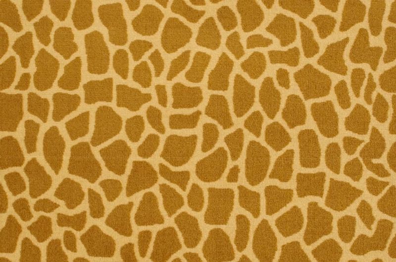Giraffe 54507 Broadloom Carpet in vibrant colors with a cut pile print design made from 100% nylon, 12ft wide.