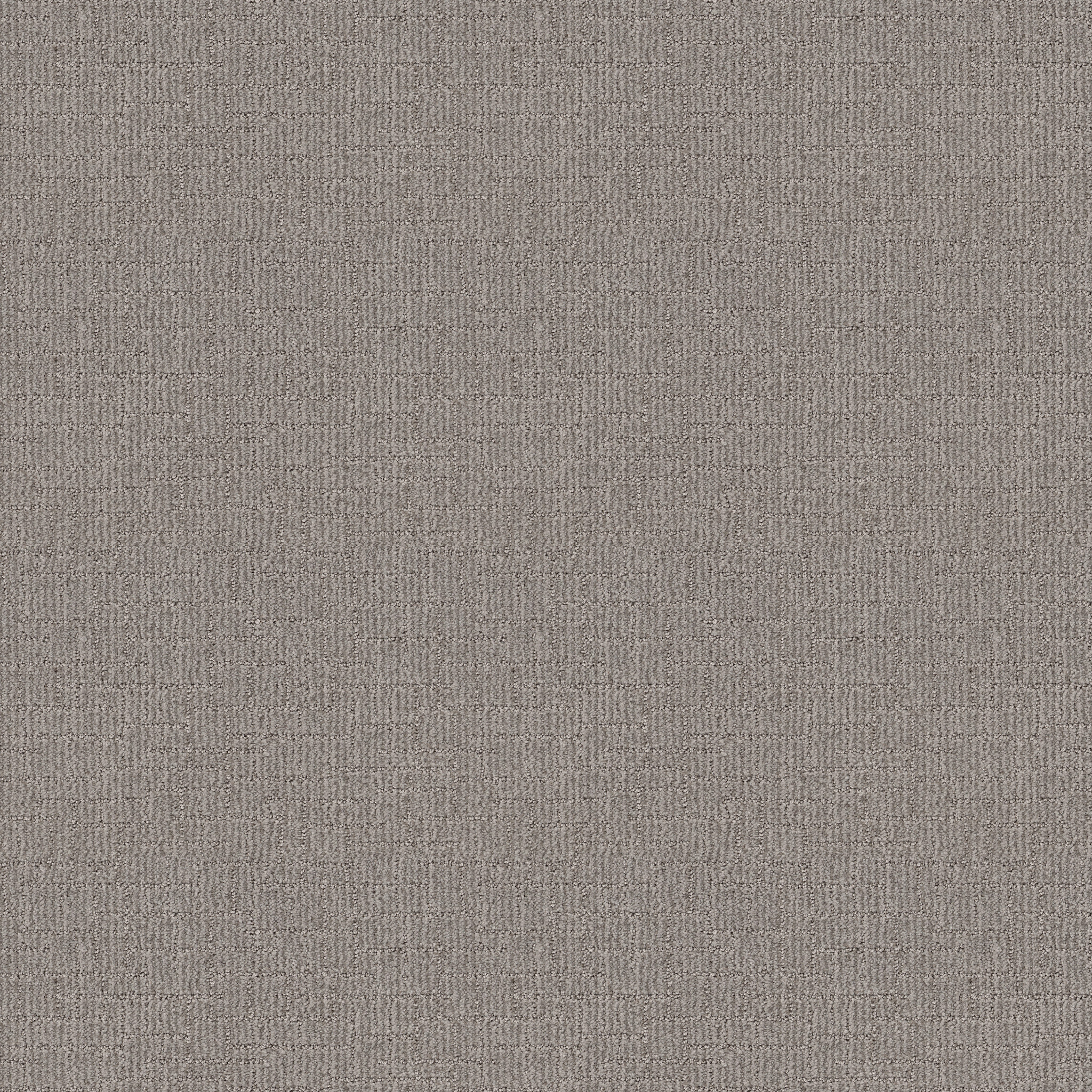 WAYFARER MOONSHINE MAIN