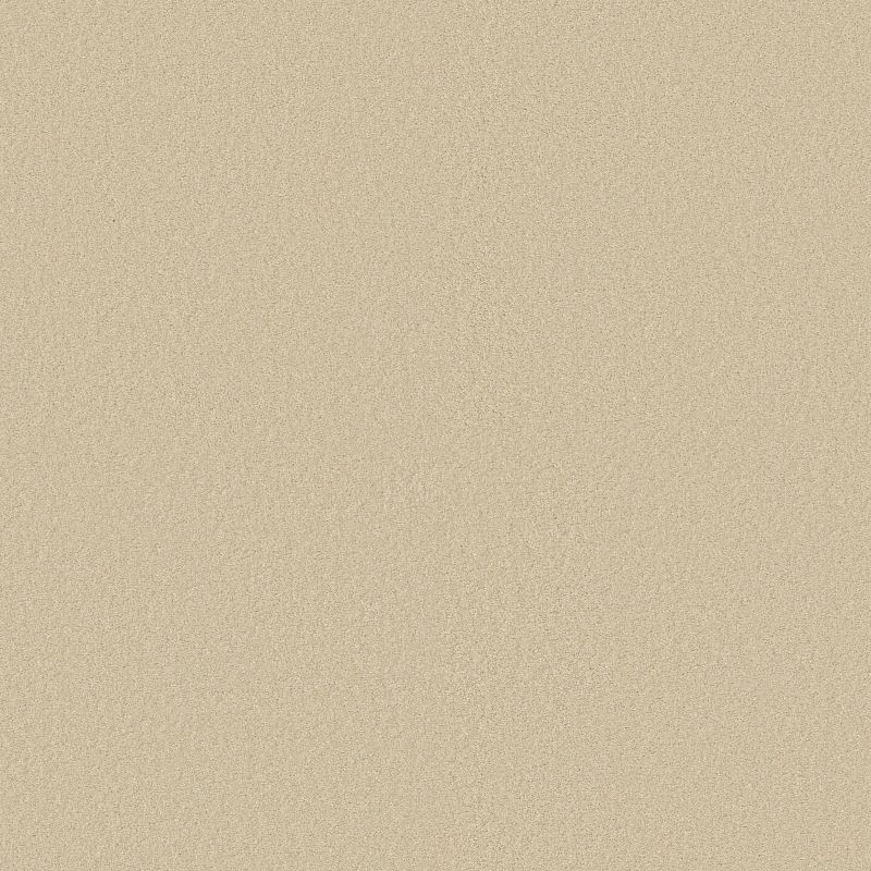 Sandy Hollow Classic IV 15 broadloom carpet in Chinchilla color, 100% nylon material, 15ft wide