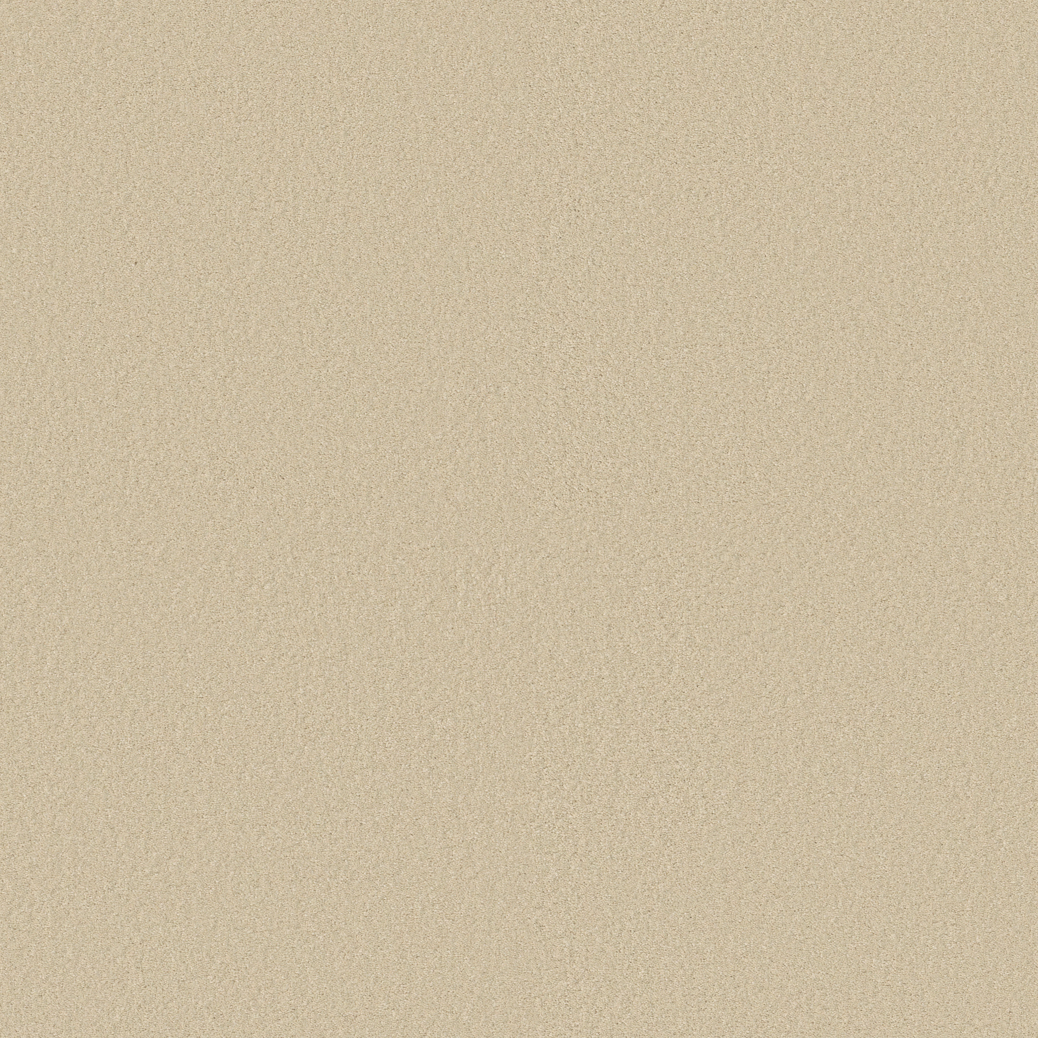 SHINGLE CREEK IV 15' MUSHROOM MAIN