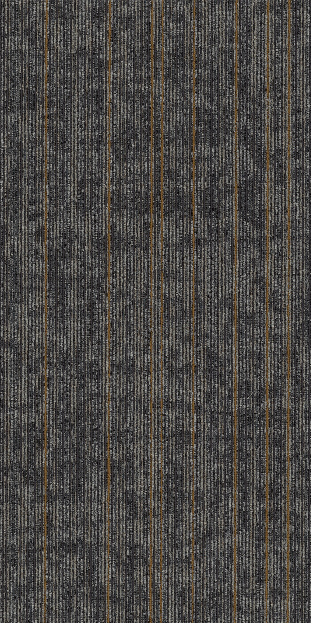 RISE-UP-54997-PERSIST-00502-main-image