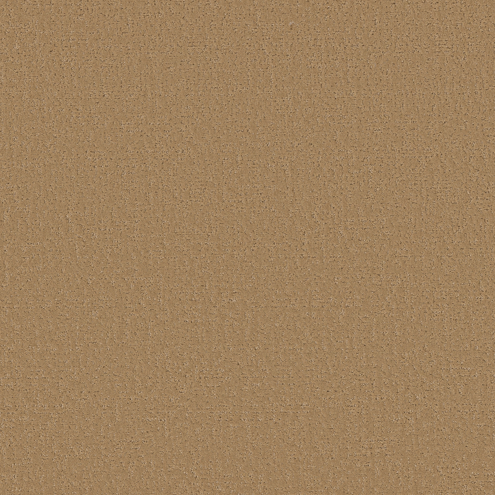 CANVAS COMFORT BLUE PASTA RECIPE MAIN