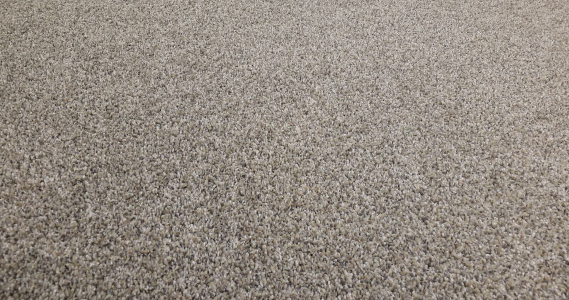 ELEVATED II PERFECTION 360PROD