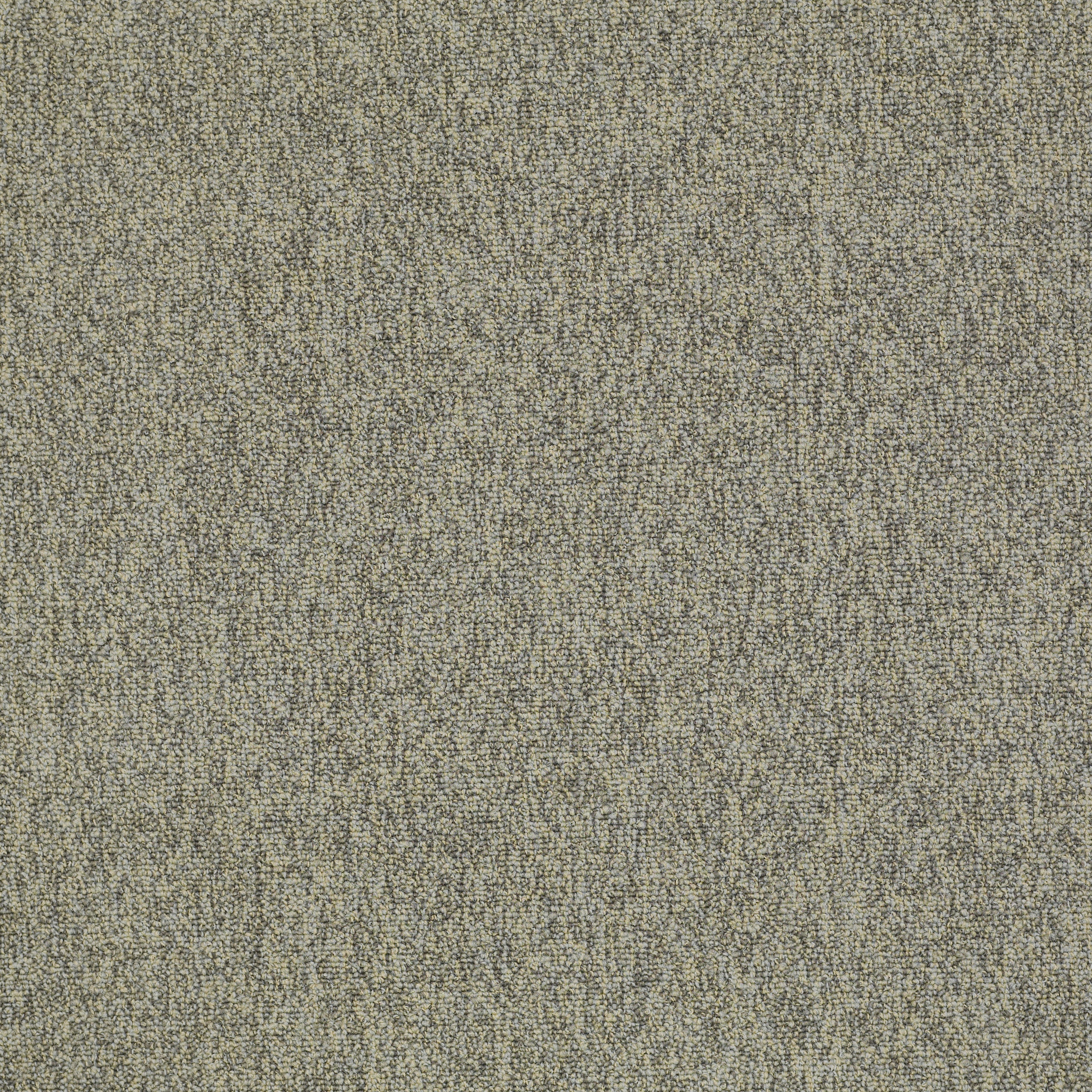 MULTIPLICITY-54593-BATCH-00500-main-image