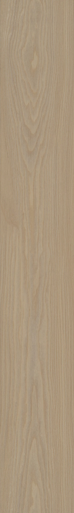 DISTINCTION PLUS TOASTED SIENNA 1TO1