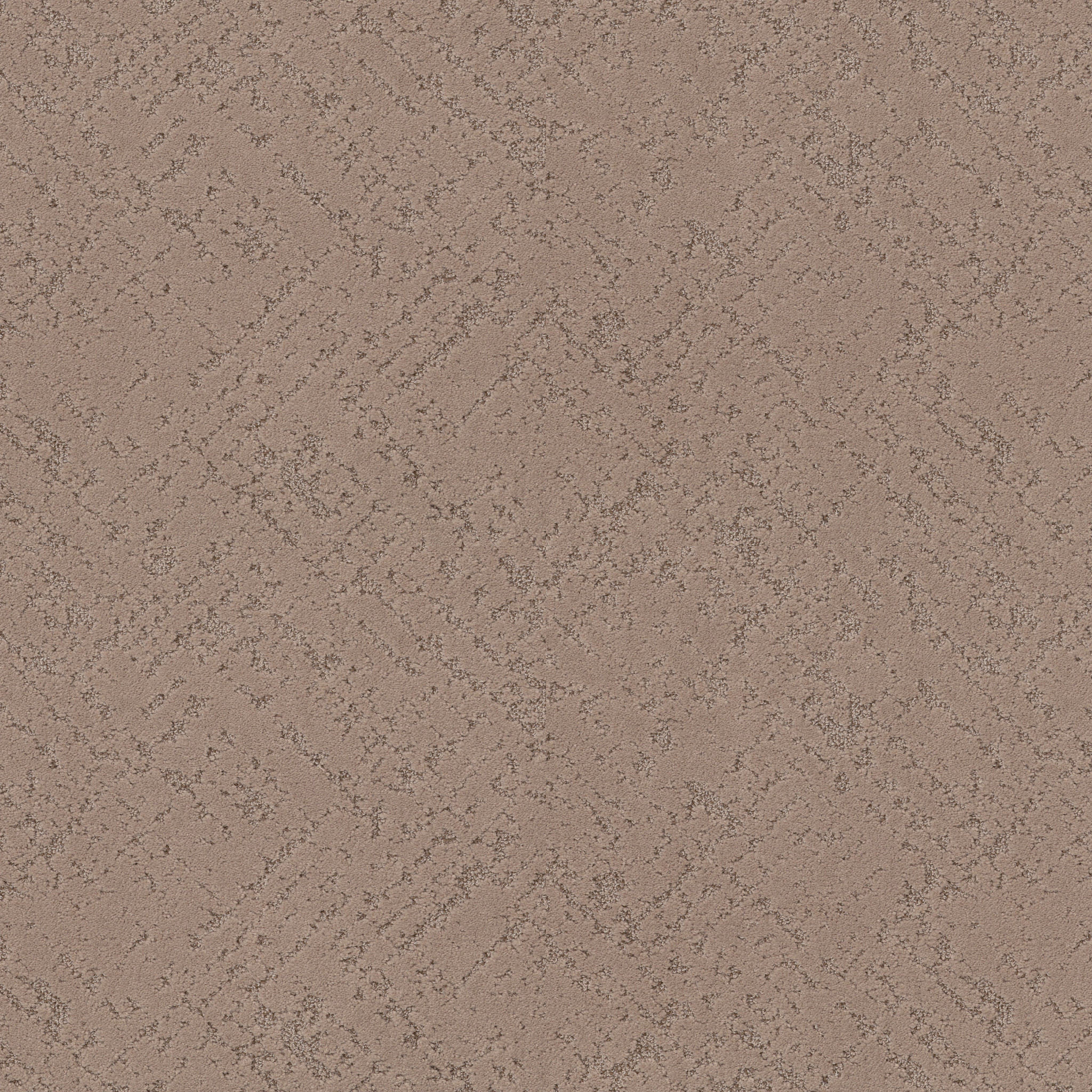 SINCERE FOCUS CANOE MAIN