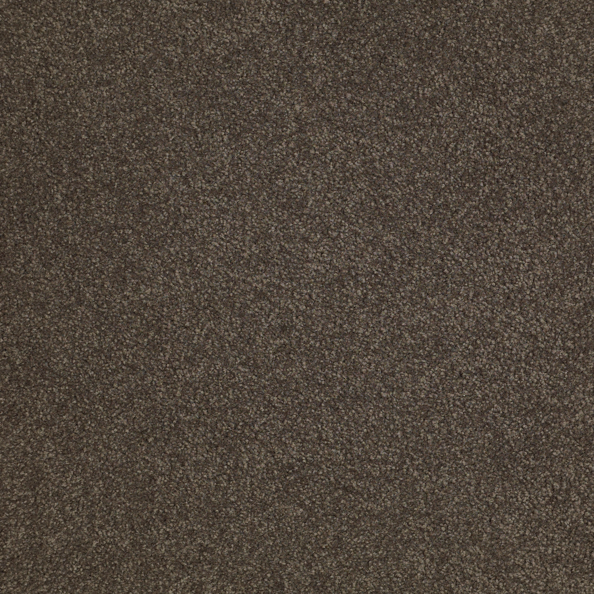 SHINGLE CREEK IV 12' ARROWHEAD MAIN