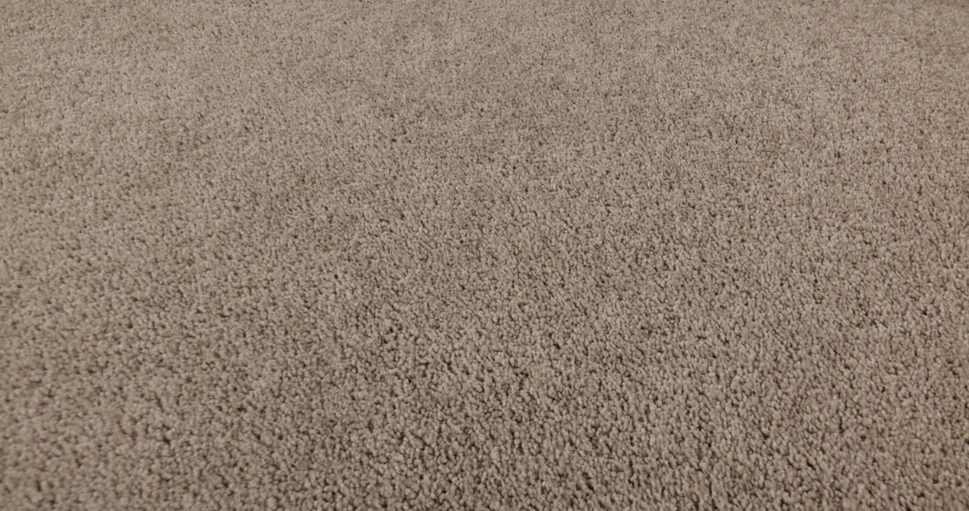 MY INSPIRATION I LATTÃ 360PROD