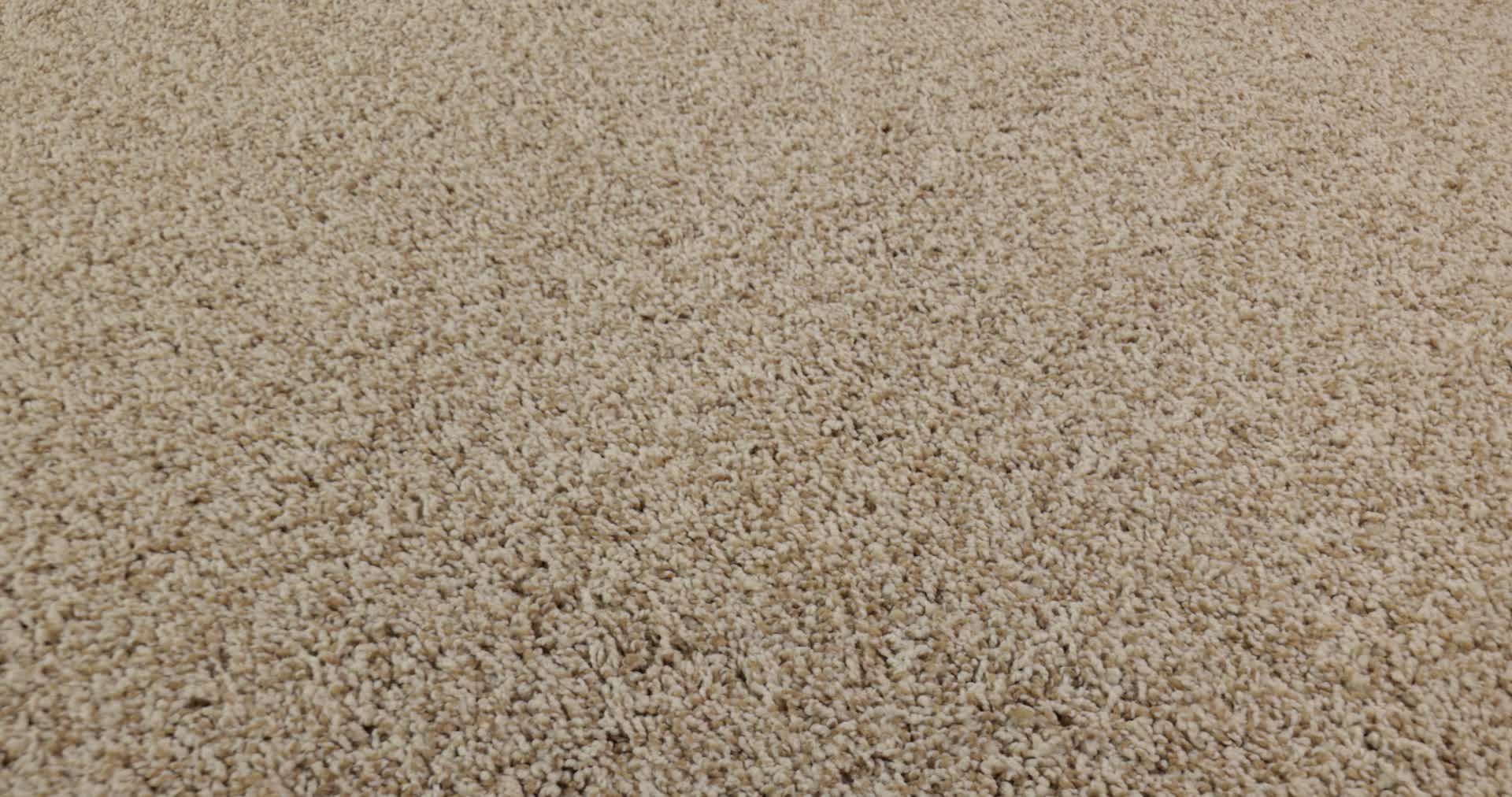 BELLA NOVA BEACH GRASS 360PROD