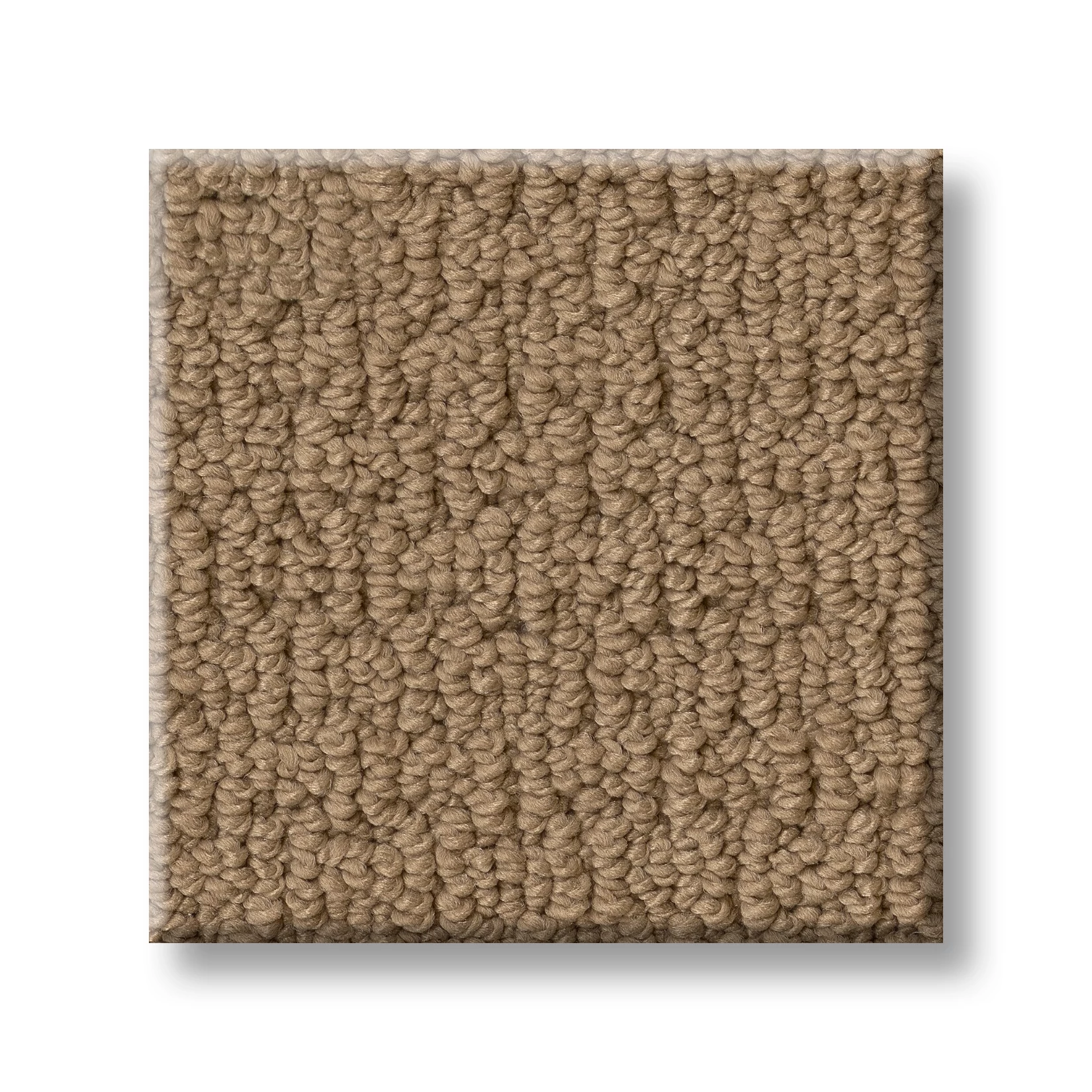 CASUAL LIFE Z6812 - 00228 | Shaw Floors CASUAL LIFE Z6812 - 00228 | Shaw Floors