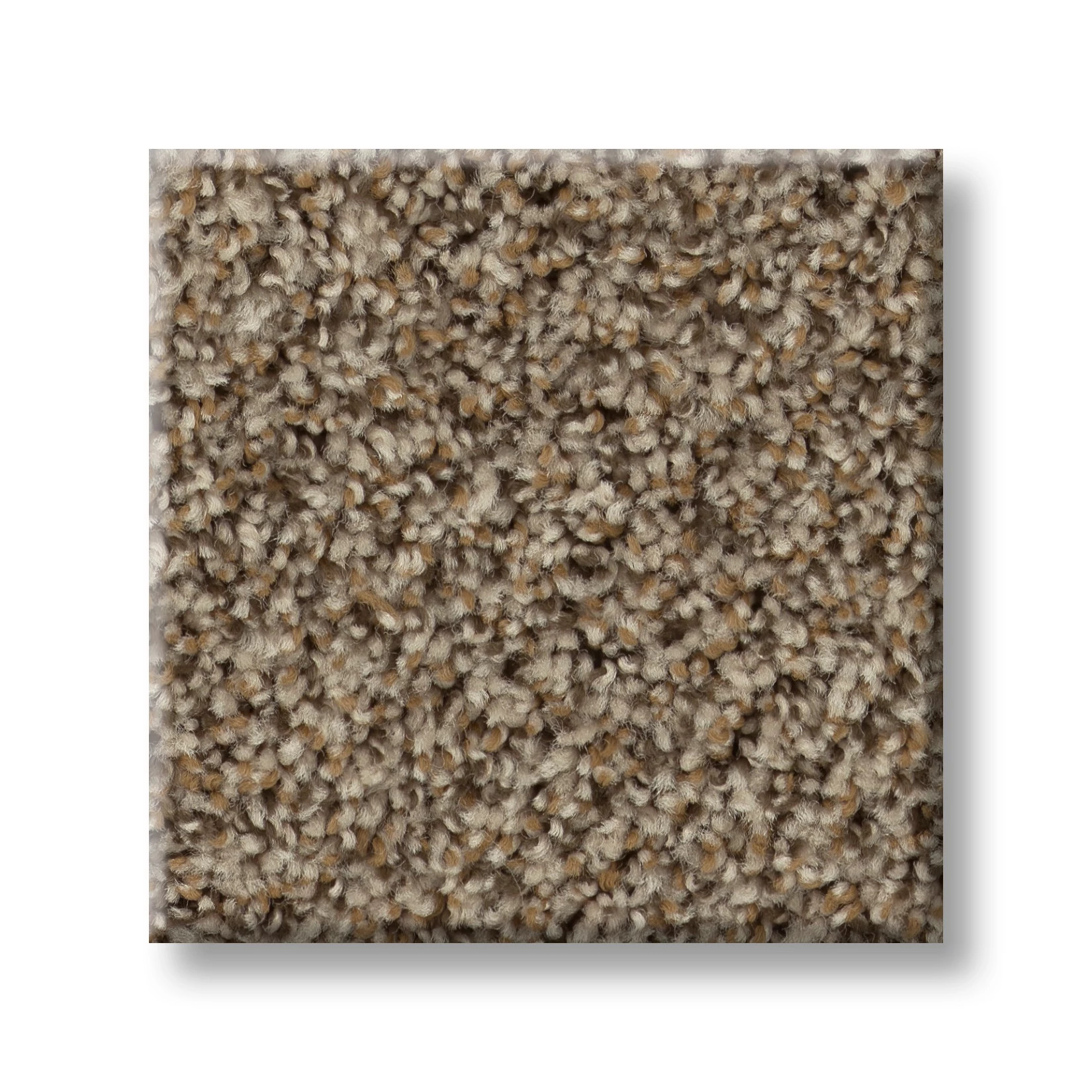 BREAK FREE STUDIO SWATCH