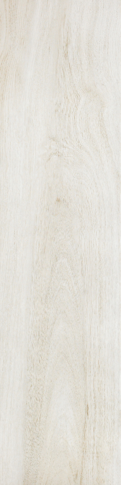 VALENTINO 8X32 ACTION MAIN