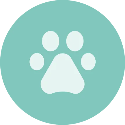 Pet-friendly flooring symbol in teal Teal circle with white paw print icon