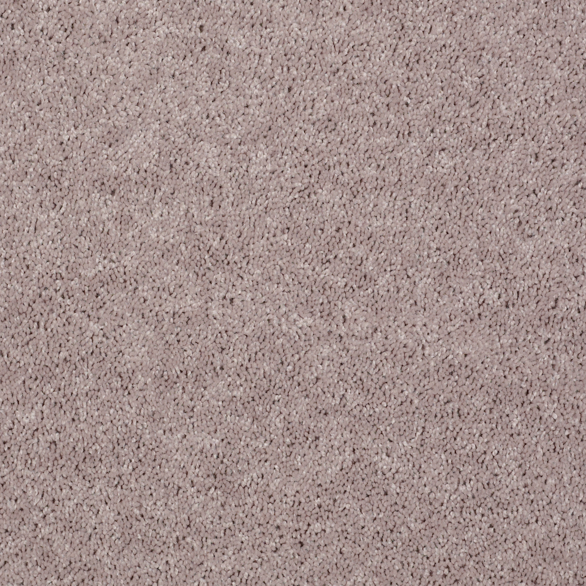 ROYAL PORTRUSH III 15' BARE MINERAL MAIN