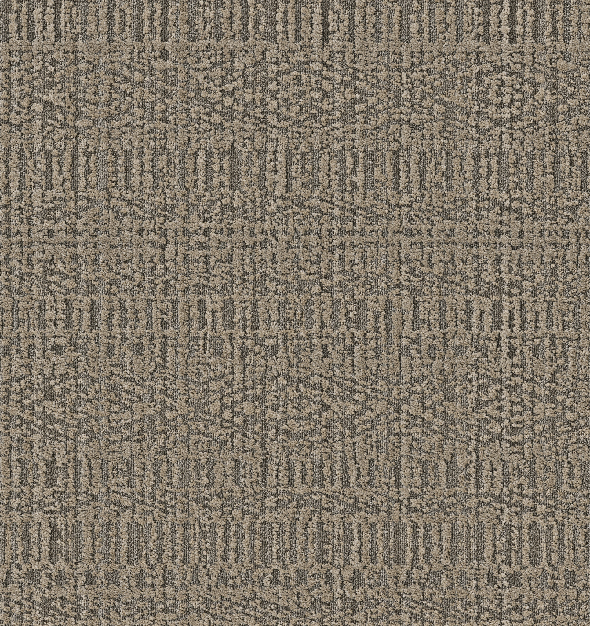 BATIQUE MUSHROOM BISQUE MAIN