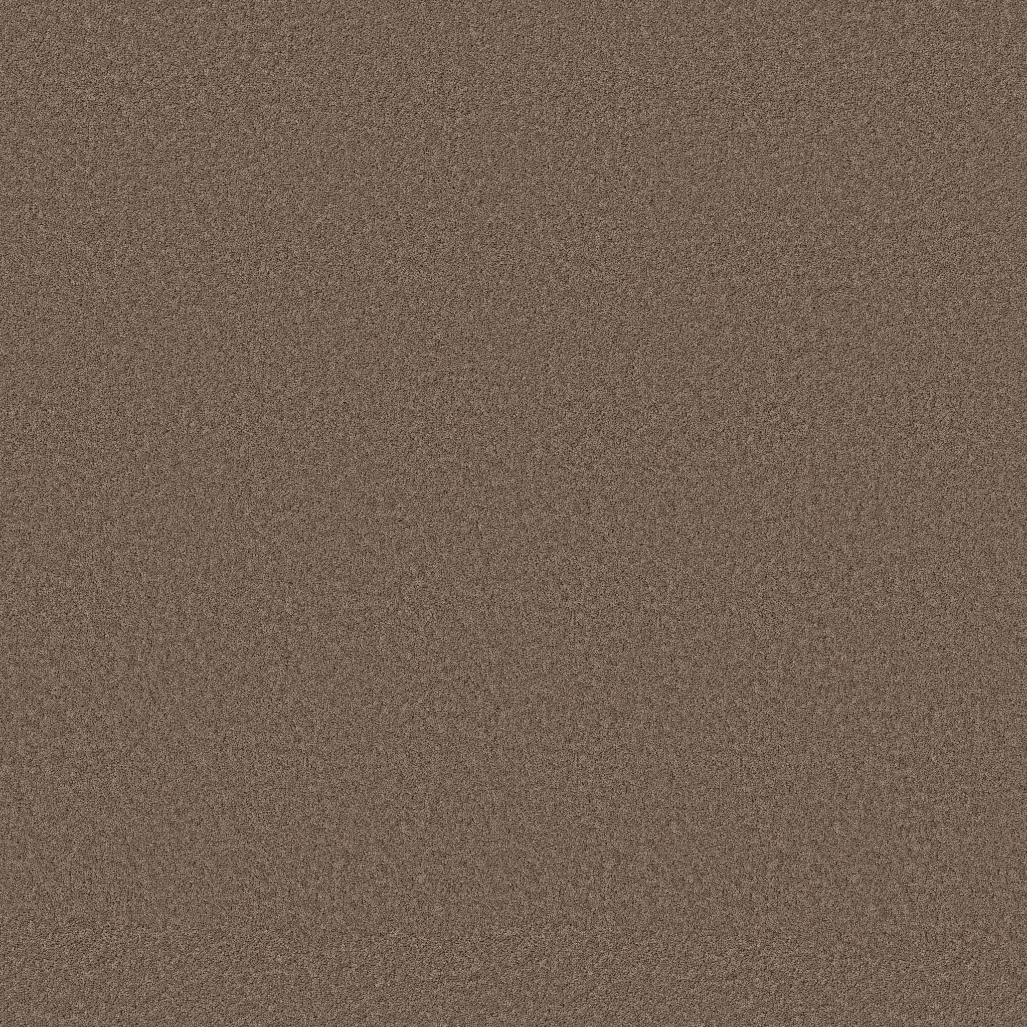 PURE AFFECTION S LANDMARK MAIN