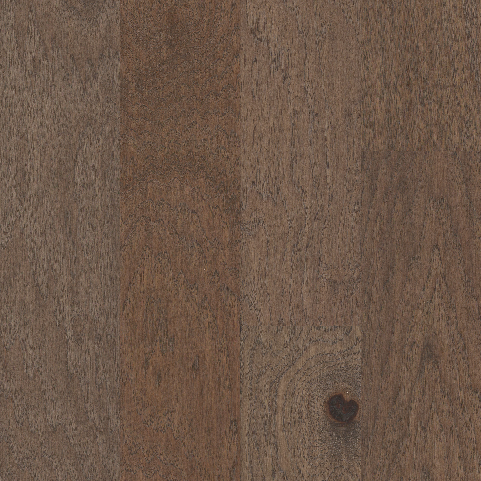 ぐりたん　1223 Riverstone - in color Mesquite | Shaw Floors