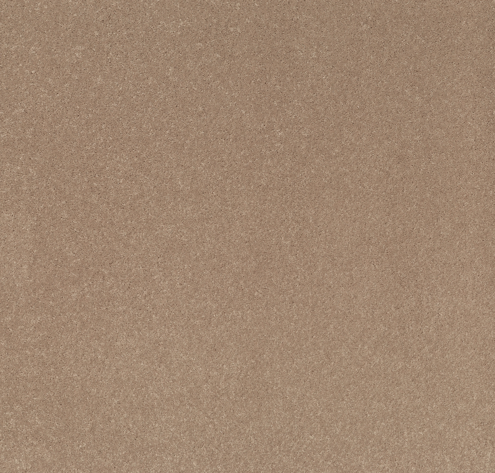 BEAUTIFULLY SIMPLE I 15' NATURAL BEIGE MAIN