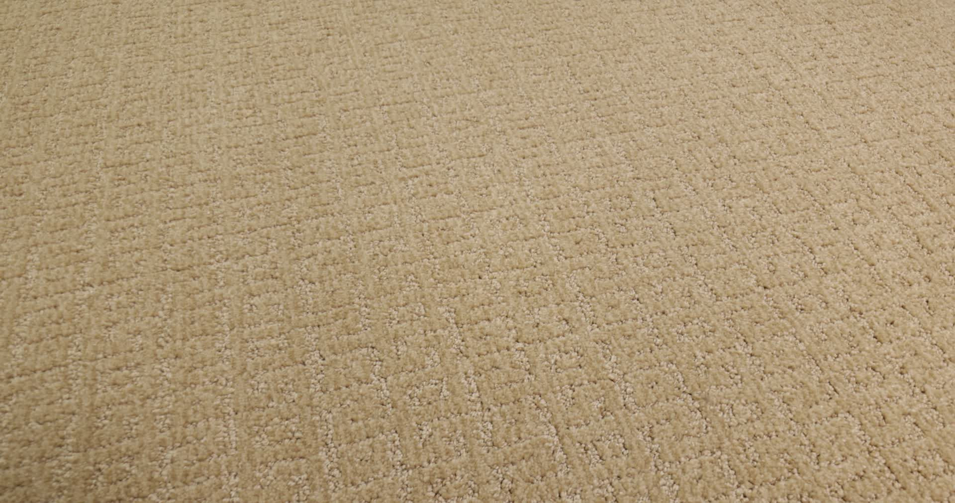 VIGNETTE CELEBRATION 360PROD