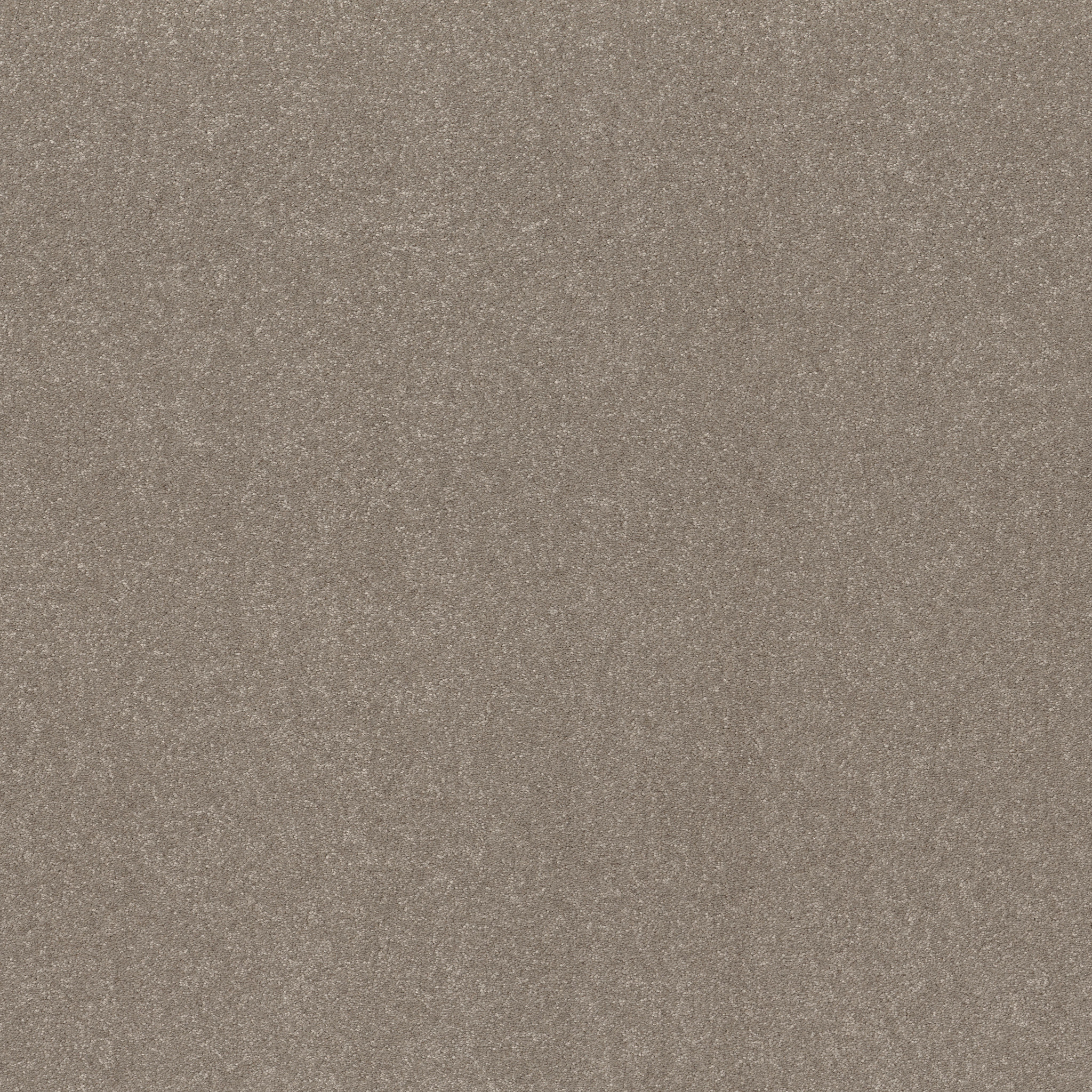 HARD AT PLAY III 15' CHIC GREIGE MAIN