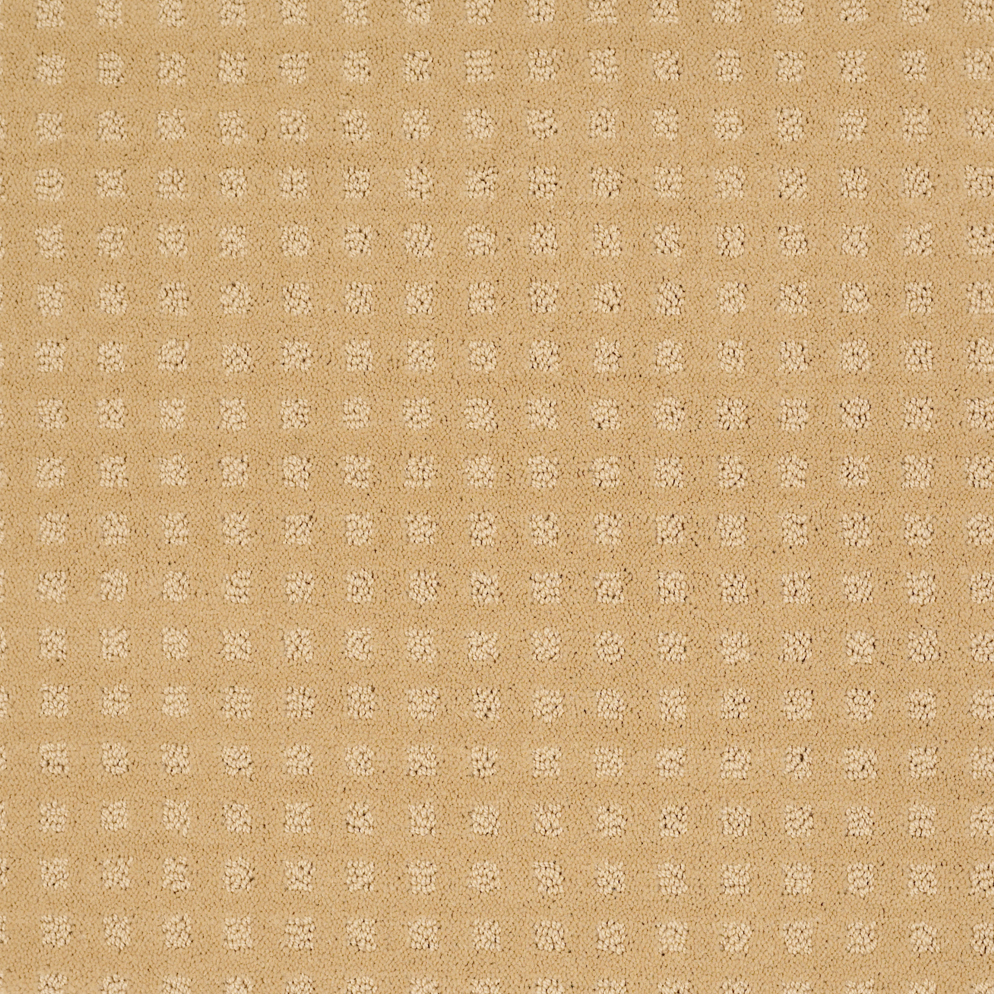 THE FAIR BUTTER CREAM MAIN