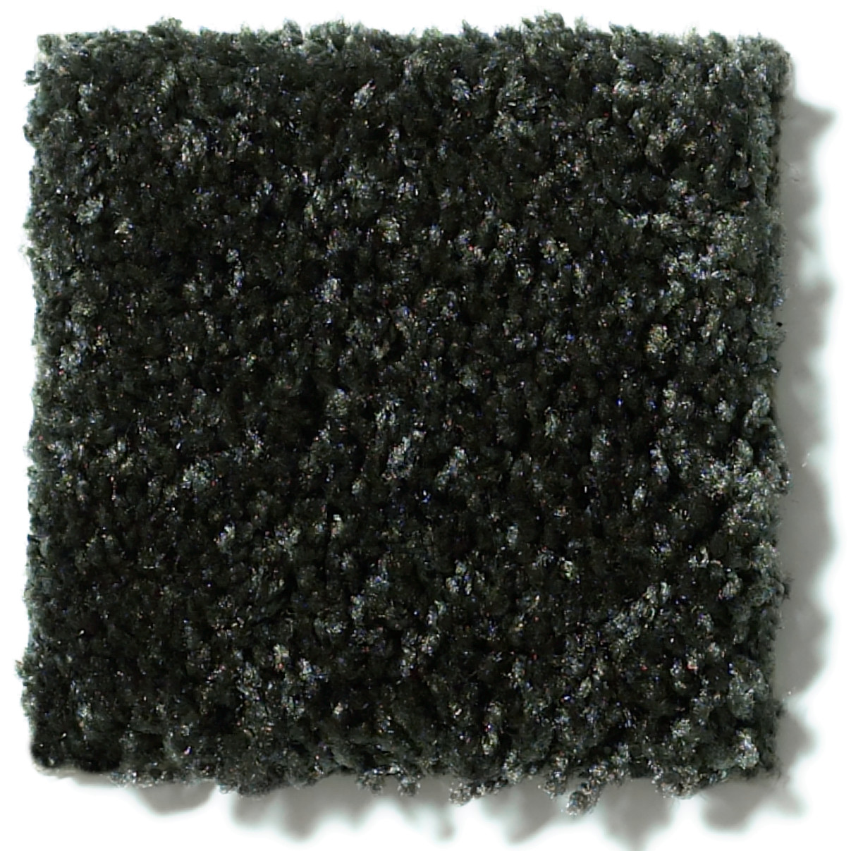 DREAMIN' 12' JADEN SWATCH