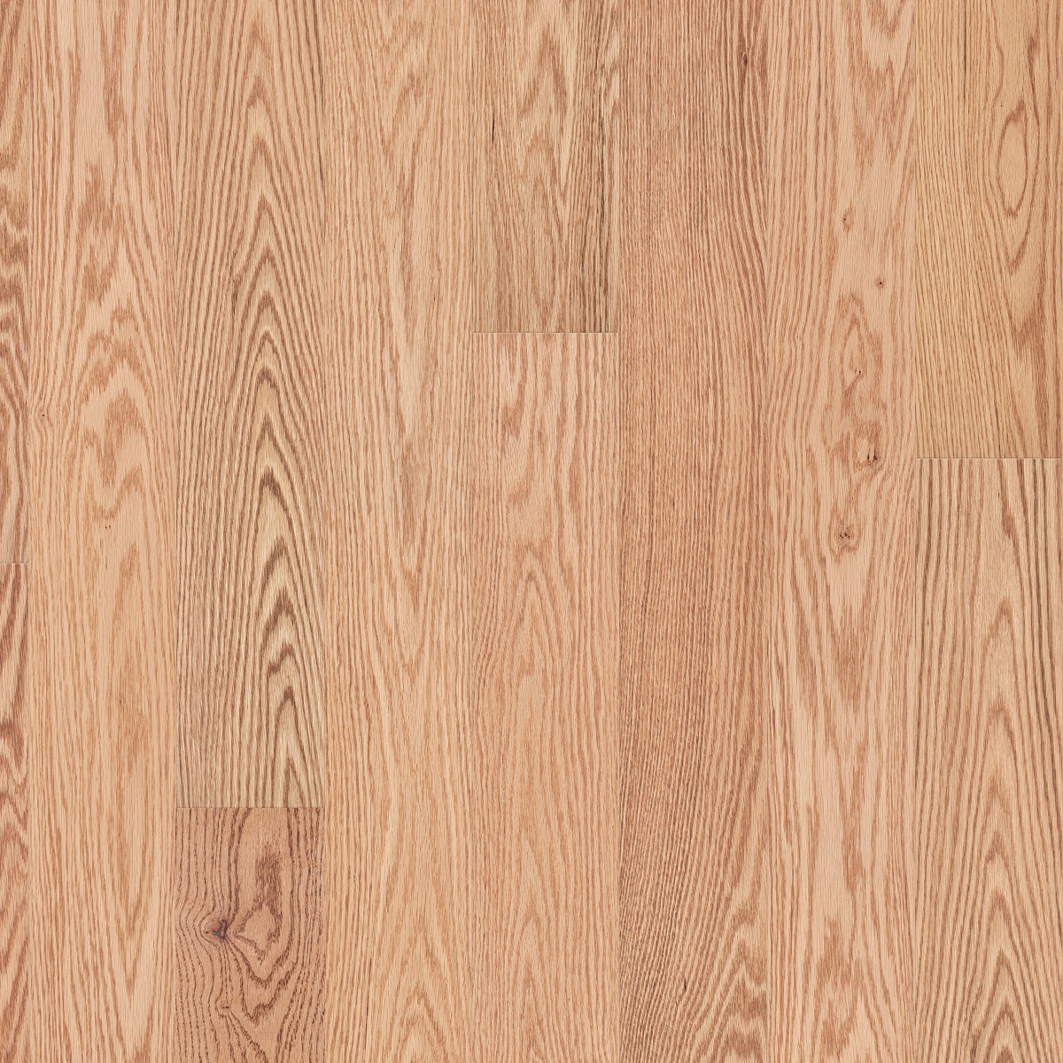 Natural Classics Red Oak 5"