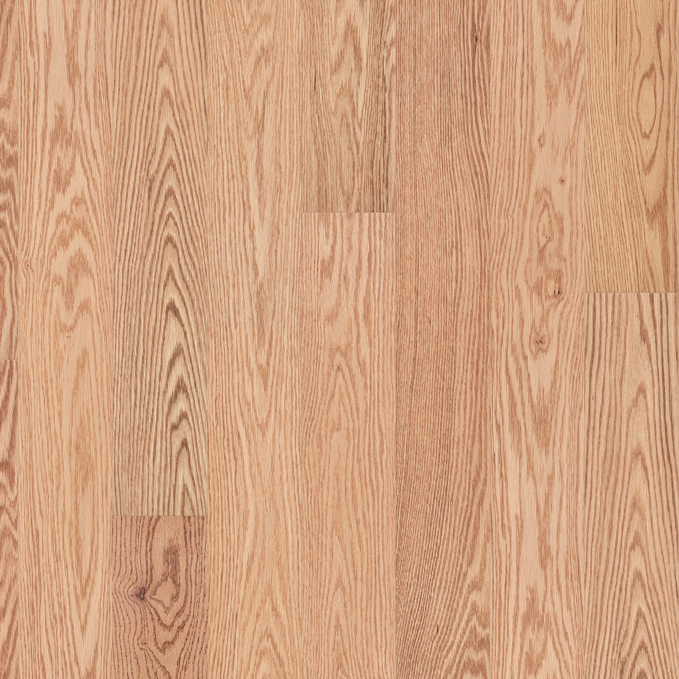Natural Red Oak swatch