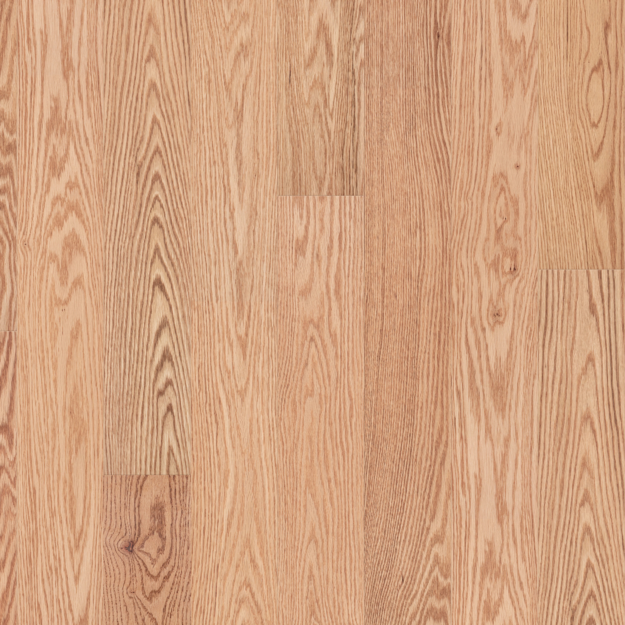 NATURAL CLASSICS RED OAK 5" NATURAL RED OAK MAIN