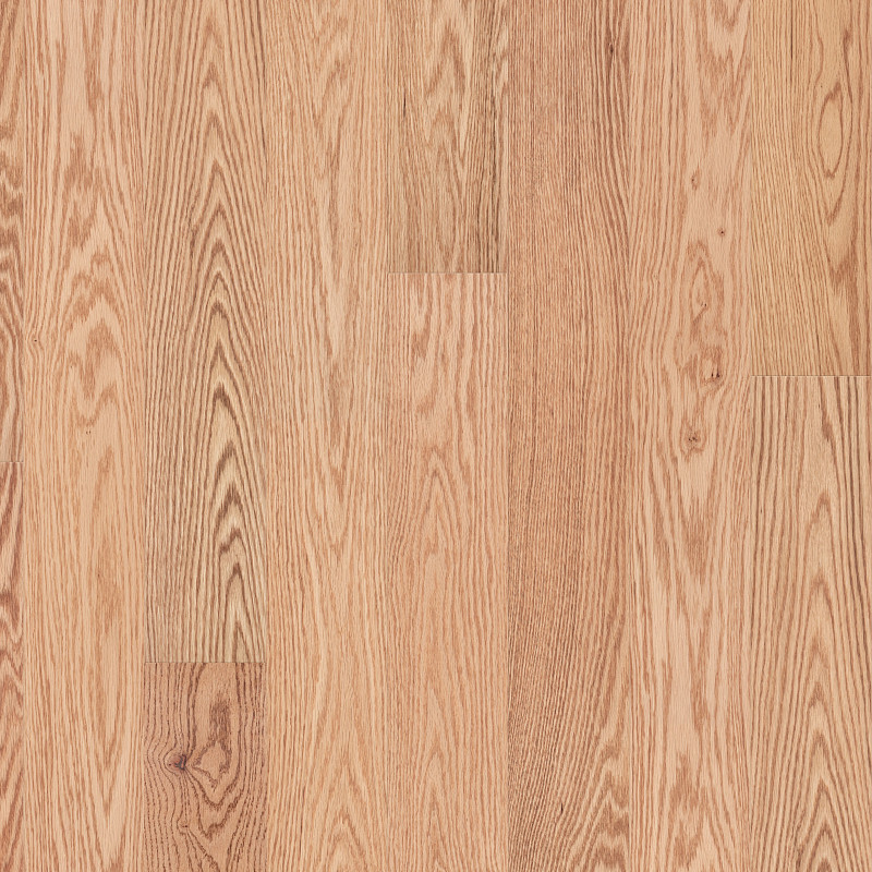 NATURAL CLASSICS RED OAK 5" in Natural Red Oak by Shaw Floors
