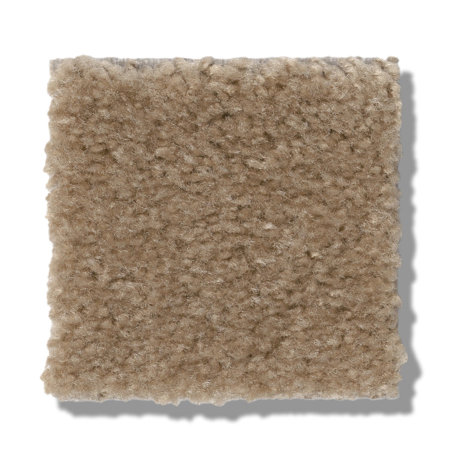 BANNING PINECONE SWATCH