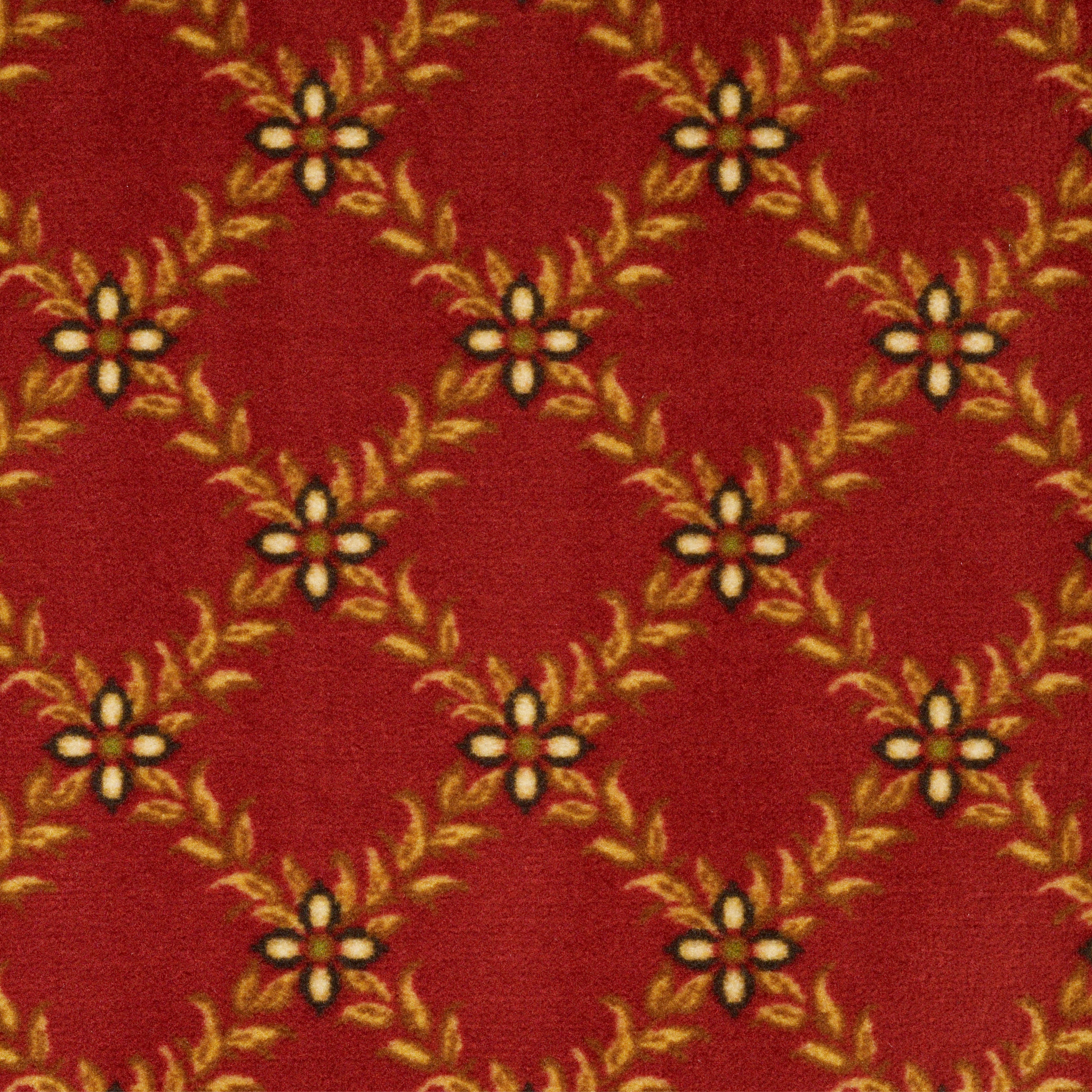 CANNONBORO-54706-FANFARE-06800-main-image