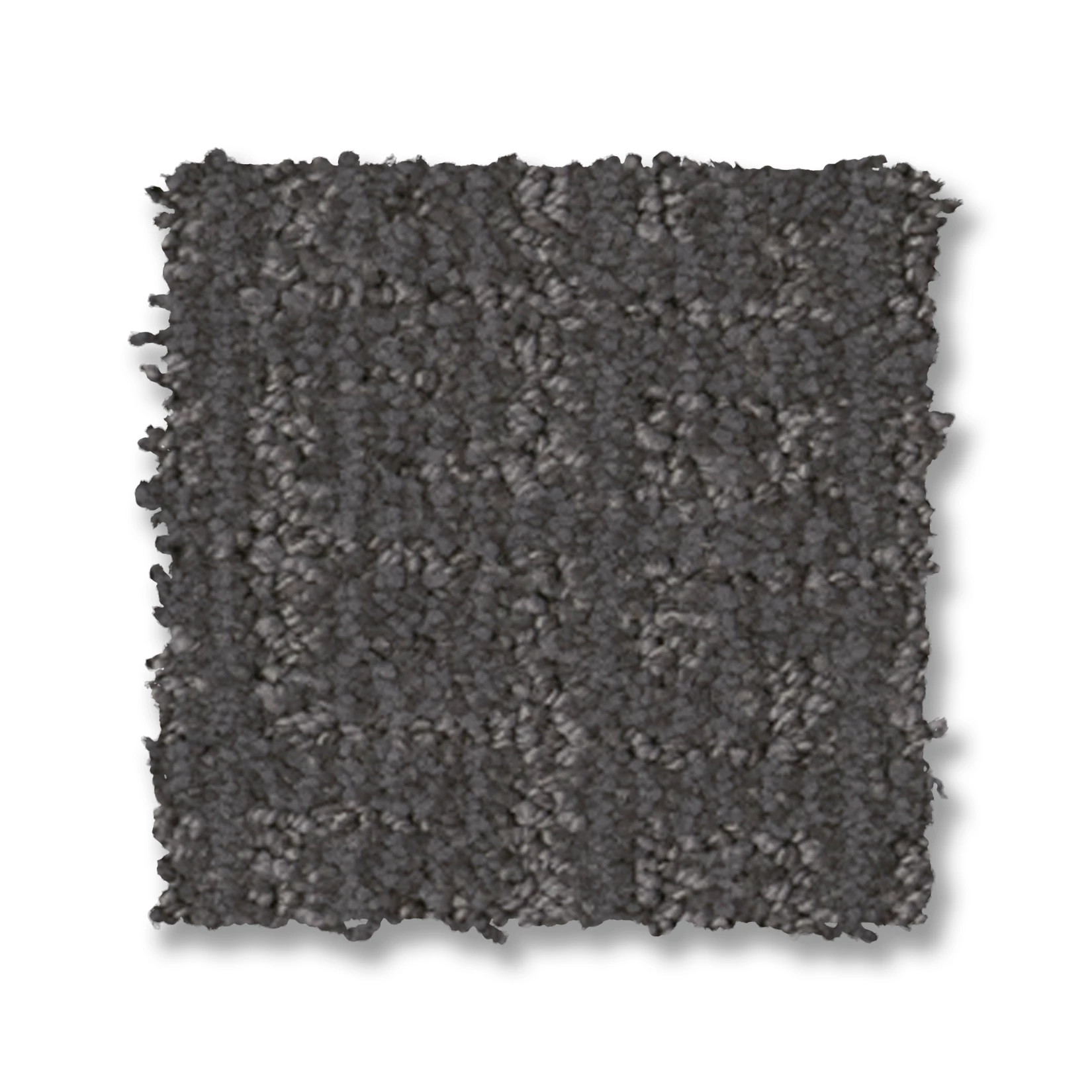 VIGNETTE LEGENDARY SWATCH