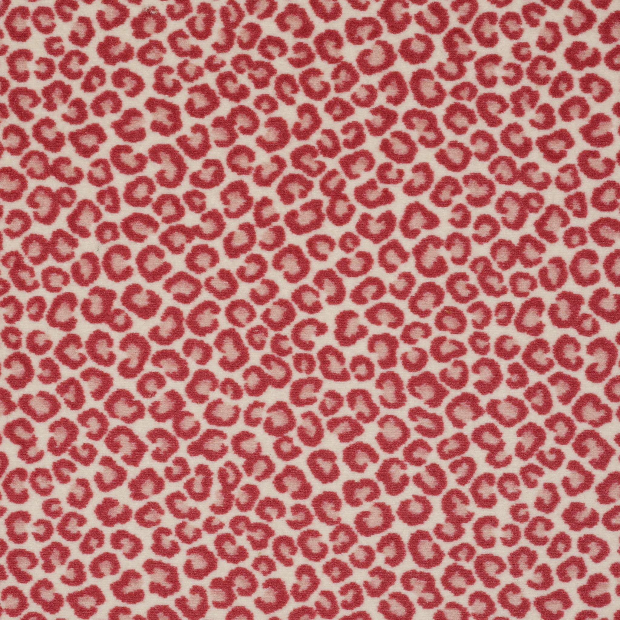 CHEETAH 54509 HANG LOOSE 09802 main image