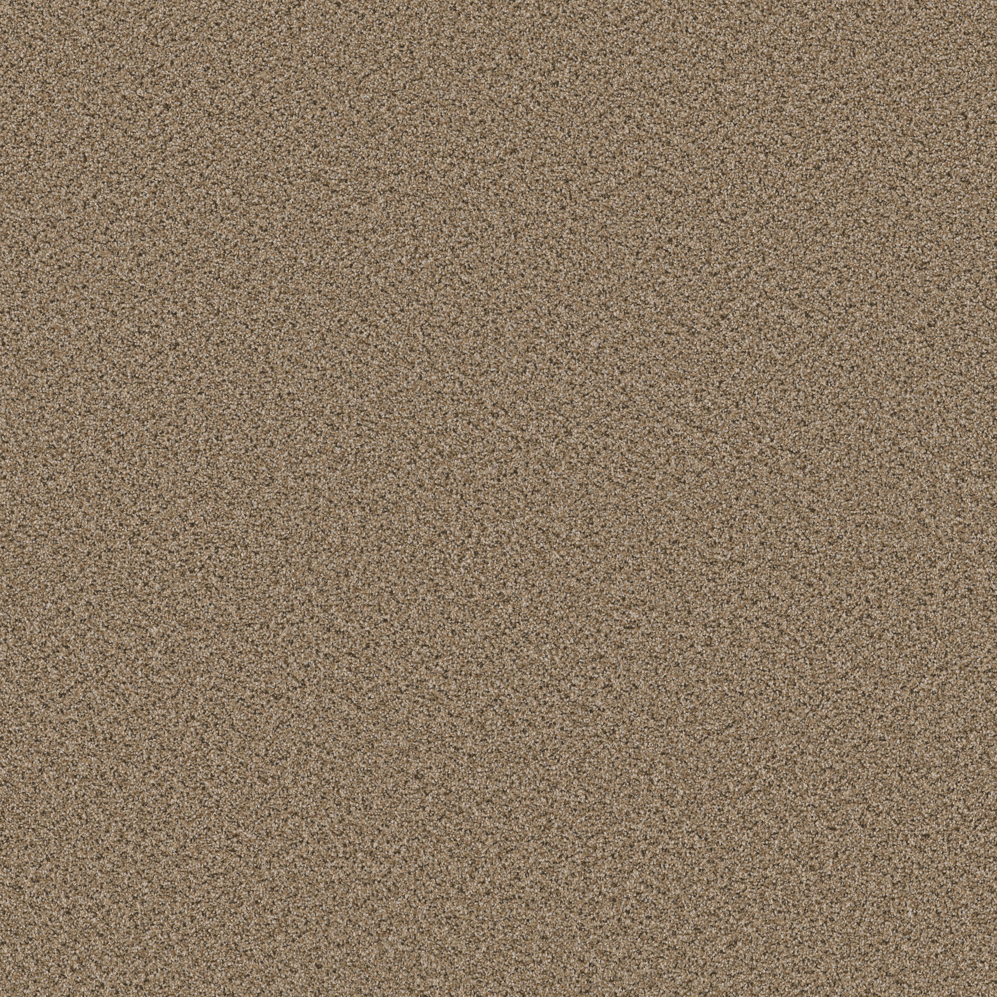 STRANDS OF NATURE I BRIDLE LEATHER MAIN