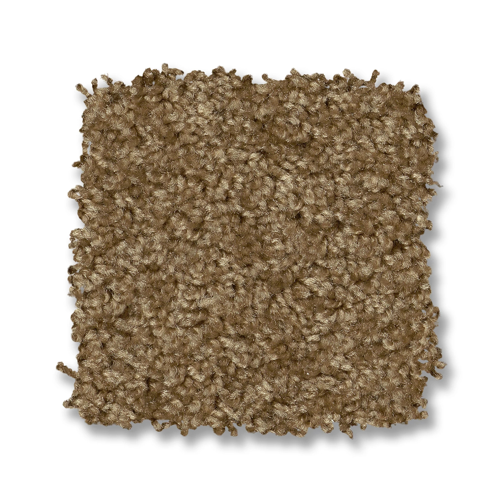 PREMIER ROLE RIDGECREST SWATCH