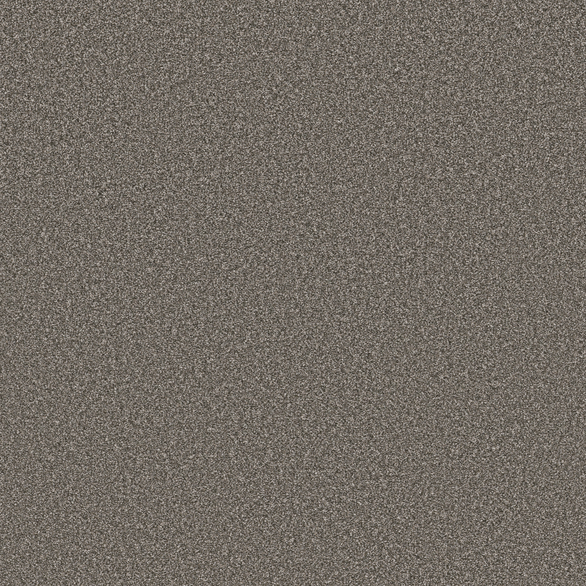 AFFIRMATION II ORION GRAY MAIN