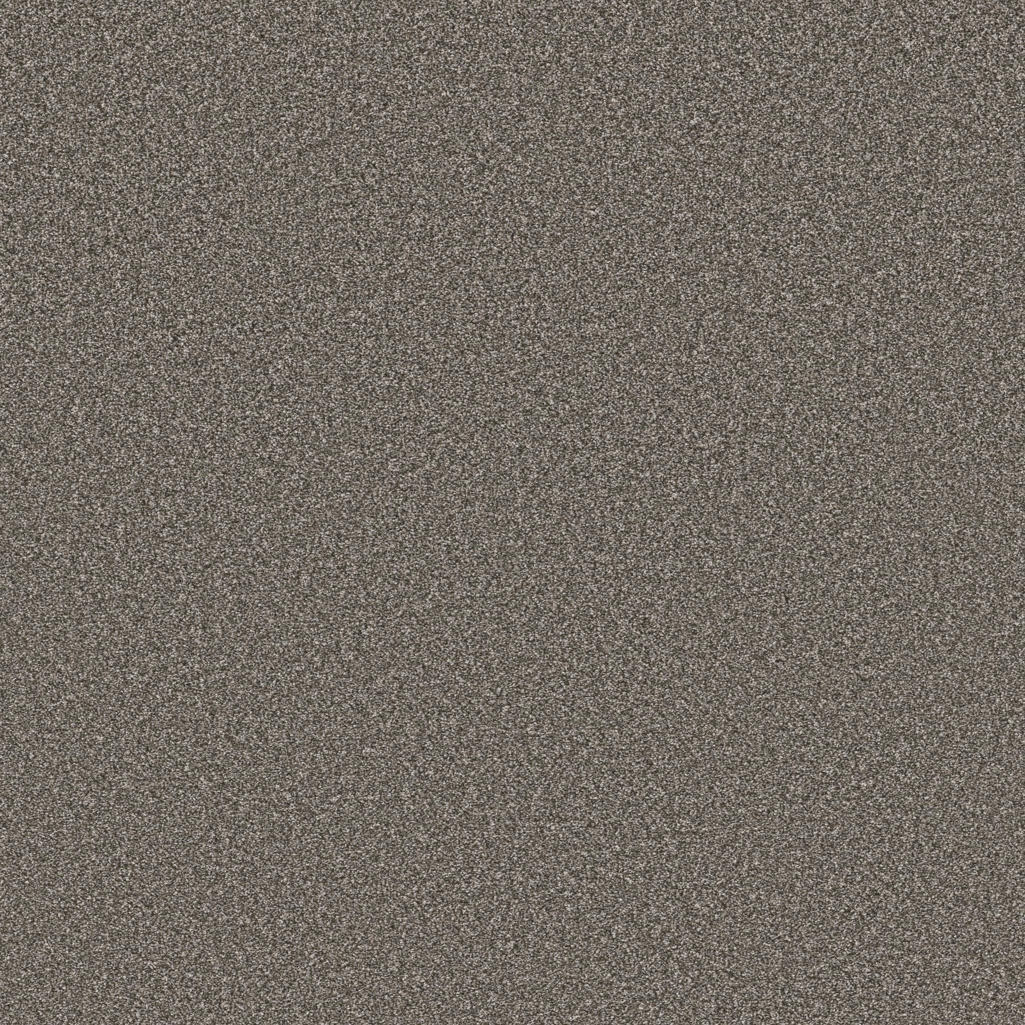 Affirmation II by Shaw Floors