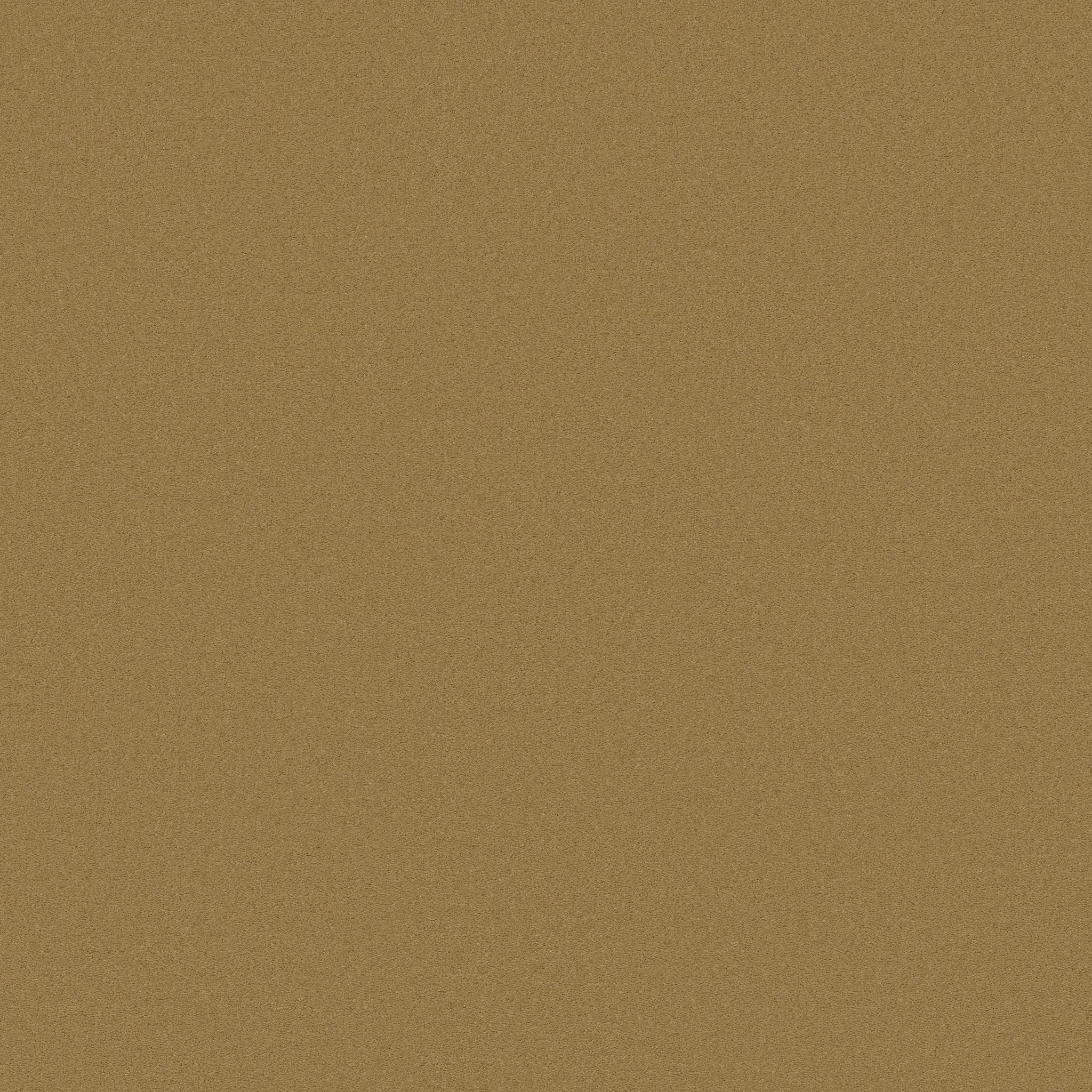 Finery in Gold Coin